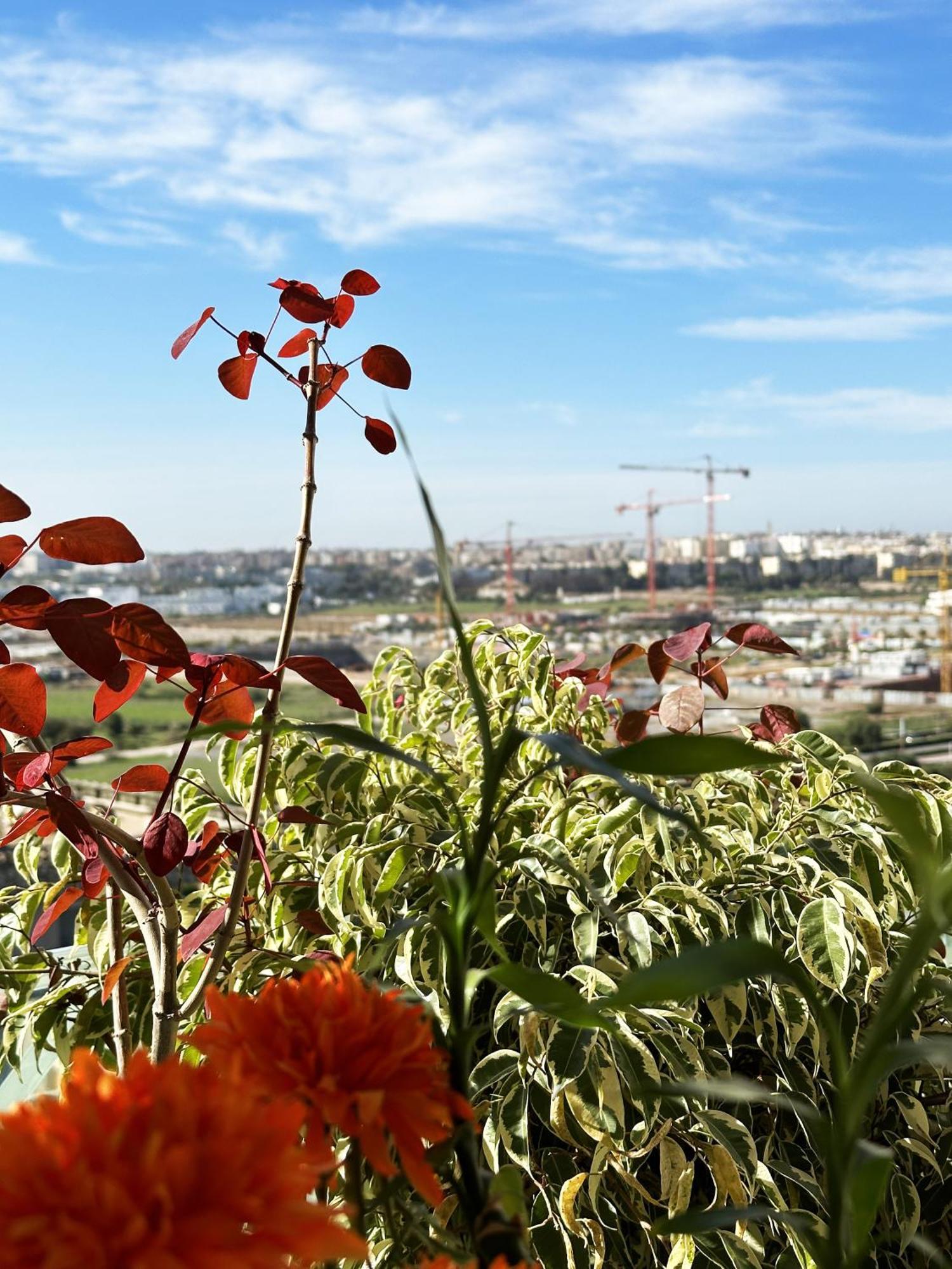 Anfa Louise Apartment Casablanca Exterior foto
